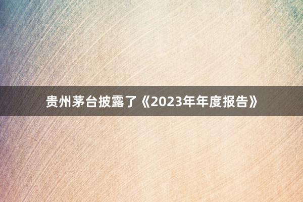 贵州茅台披露了《2023年年度报告》